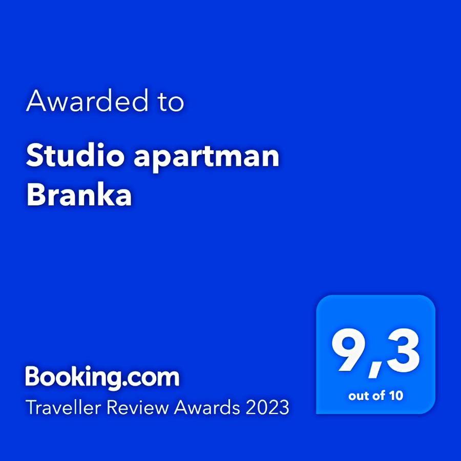 Studio Apartman Branka 拉宾 外观 照片