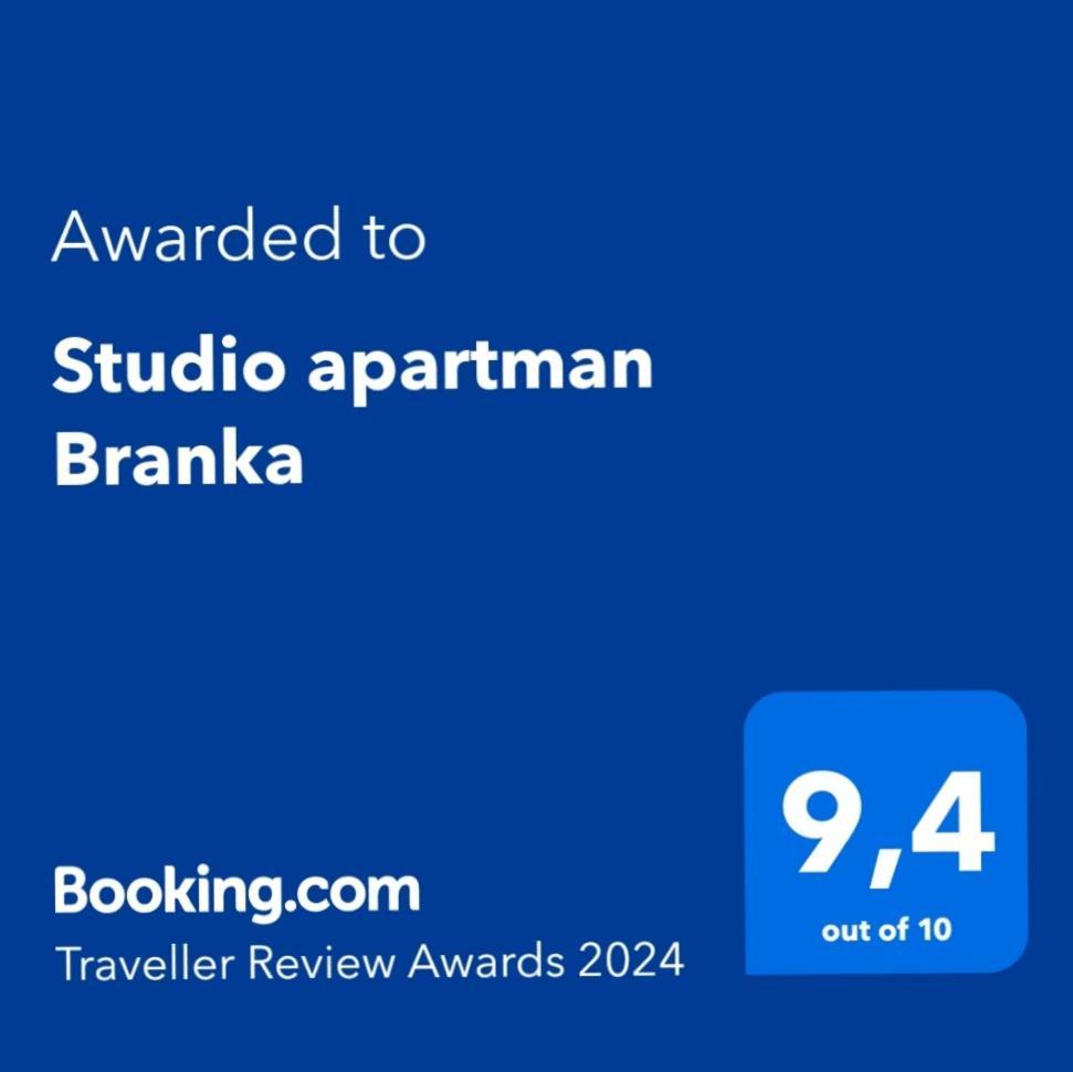 Studio Apartman Branka 拉宾 外观 照片